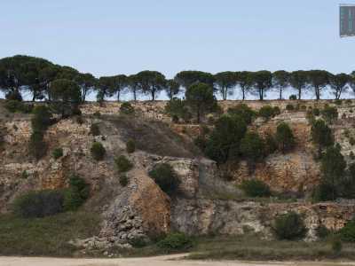 Alla fine ci ritroviamo in un grande spiazzo, situato ai piedi di un anfiteatro di roccia scoscesa ricoperta di fiorellini ed erba selvatica
